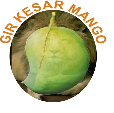 Gir-Keshar-Mango